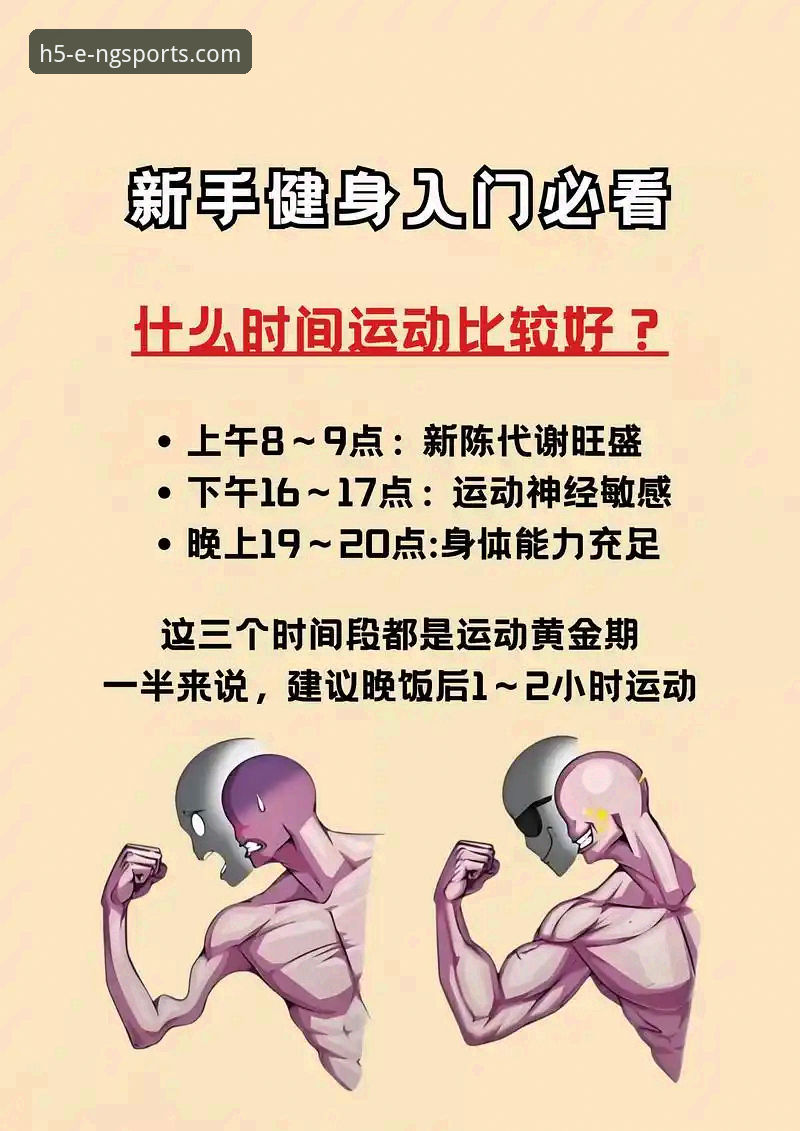 从零开始玩转N9体育平台：新手使用教程与真实体验分享