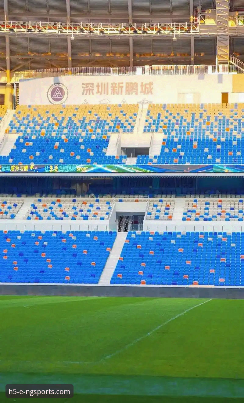 N9体育平台使用常见问题完整指南：从下载到观赛的全流程解析