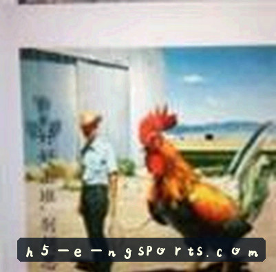王磊